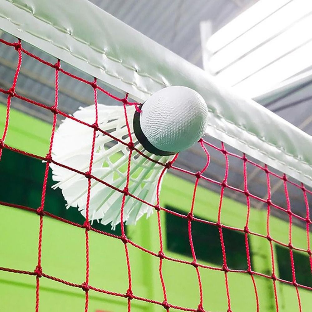 شبكة كرة الريشة القياسية البدي - مراجعة Badminton Fun وسعره